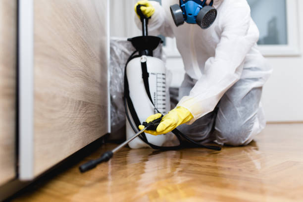 Pest Prevention Services in Carlyss, LA