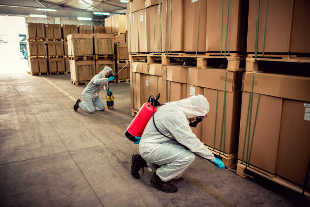 Best Best Pest Control Companies  in Carlyss, LA