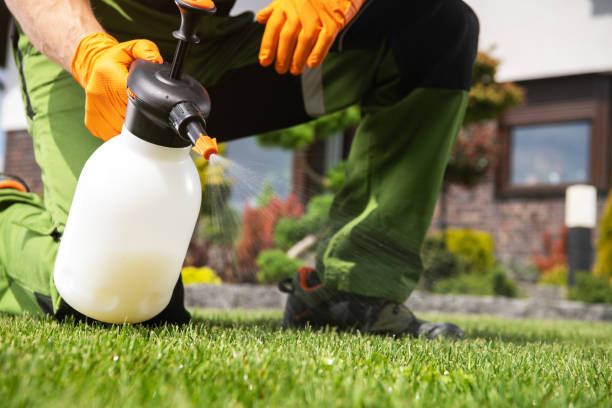 Trusted Carlyss, LA Pest Control Experts