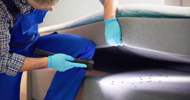 Best Flea Control Services  in Carlyss, LA